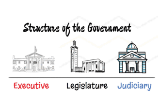 The Three Arms of the Government
